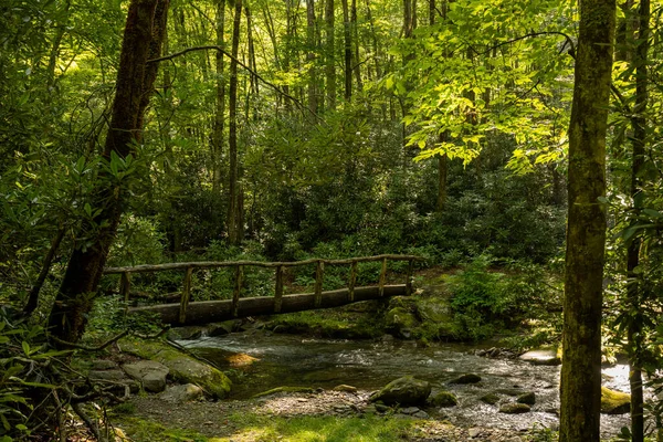 Prosty Drewniany Most Przez Potok Parku Narodowym Great Smoky Mountains — Zdjęcie stockowe