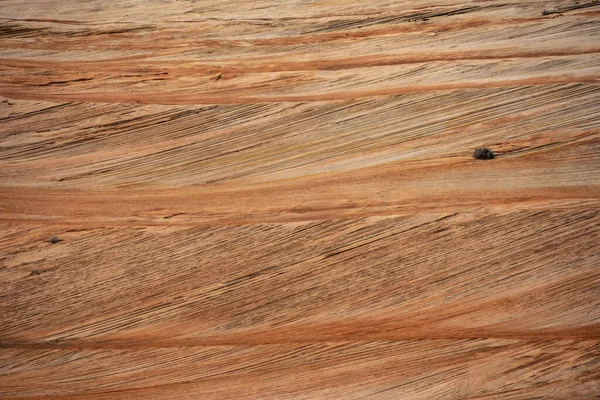 Stock image Swooping Curves of Sandstone Wall Background Image from zion