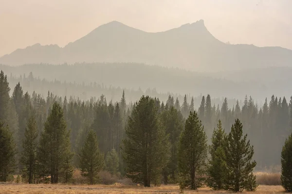 Arbres Dans Fumée Feu Forêt Avec Des Montagnes Haineuses Derrière — Photo