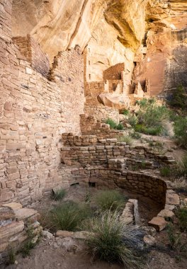 Kuş Yuvası Mesa Verde 'deki Kare Ev Kulesinin Üzerinde Oturuyor