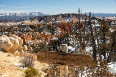 Bryce Kanyonu Vahşi Yaşam Alanı Utah Parkı 'ndaki Karlı Amfitiyatronun Üzerinde