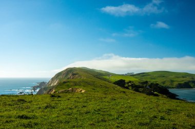 Güneşli bir öğleden sonra Chimney Rock Yarımadası Reyes Feneri 'ne doğru geriye bakıyor