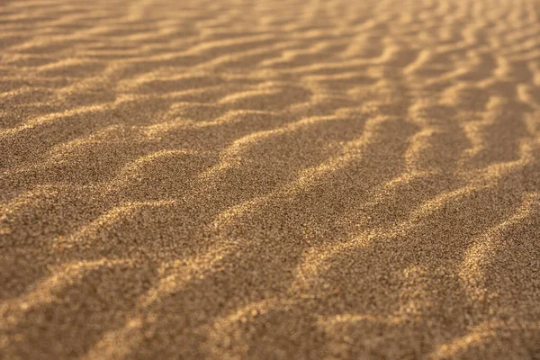 Golden Sand Sparkles Przez Powierzchnię Wydm Parku Narodowym Great Sand — Zdjęcie stockowe