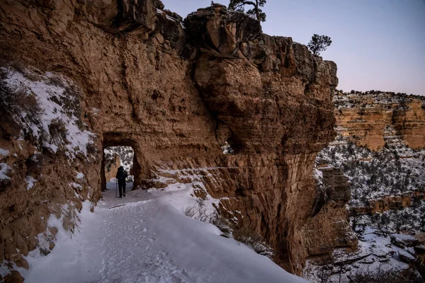 Wandelaar Passeert Sneeuw Bedekte Tunnel Langs Heldere Angel Trail Grand — Stockfoto