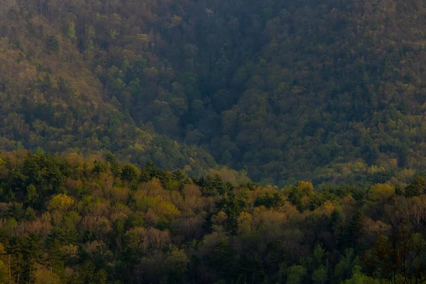 Lagen Van Kleur Het Vroege Voorjaar Surround Mountain Hollow Cades — Stockfoto