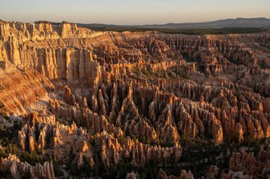 Bryce Canyon Ulusal Parkı 'ndaki Amfitiyatronun karşısında Sabah Işığı