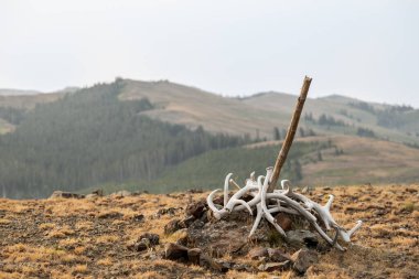 Numune Tepesi Yolu Boyunca İzler Yellowstone Ulusal Parkı 'ndaki Amethyst Dağı' na yöneldi.