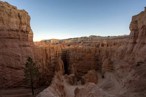 Winding Trail Heads Down To Wall Street In Bryce Canyon National Park