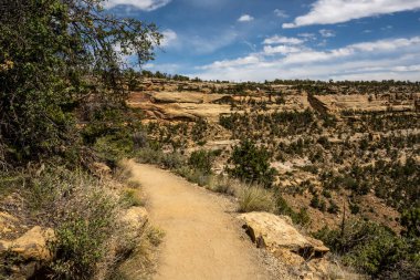 Mesa Verde Ulusal Parkı 'ndaki Uzun Ev' e giden toprak patika.