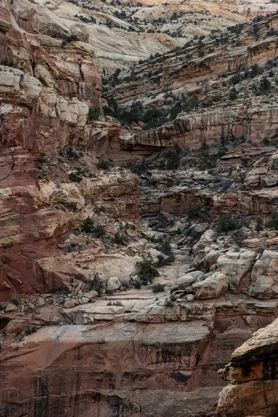 Droge Herfst Aan Het Einde Van Canyon Langs Navajo Knob — Stockfoto