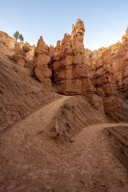 Bryce Canyon Ulusal Parkı 'ndaki Wall Street Trail' i Sıkıca Döndürdü