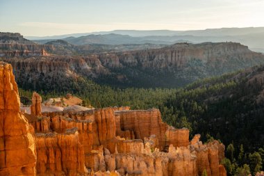 Bryce Canyon Ulusal Parkı 'ndaki Bryce Point' in altında Sabah Işığında Serseriler Parlıyor