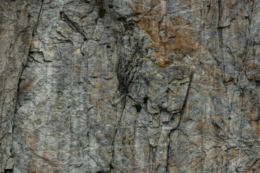 Yosemite Ulusal Parkı 'ndaki Gölgede Granit Duvarın Yumuşak Dokusu