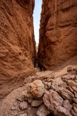 Bryce Canyon Ulusal Parkı 'ndaki Wall Street' in yanındaki bir kanyona bakıyorum.