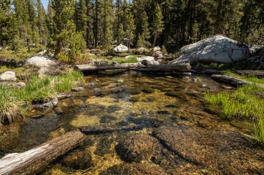 Yosemite Ulusal Parkı 'ndaki Young Lakes Kayalıkları' ndan Yosemite Ulusal Parkı 'na Sığ Kayalıkların Üzerinden Akıyor