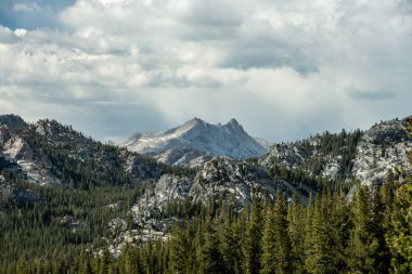 Çam Ağaçları ve Bulutlar Sandviç Yosemite Ulusal Parkı Granit Tepeleri