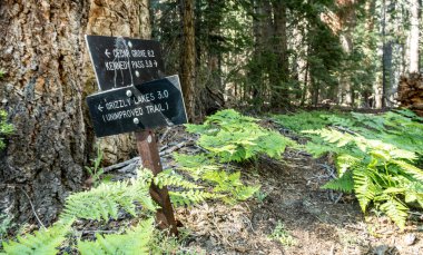 Krallar Kanyonu Ulusal Parkı 'ndaki Ormanda Boz Göller Yolu İşareti