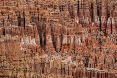Mesmerizing Array of Hoodoos in Bryce Canyon National Park