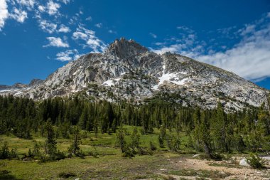 Pine Trees and Field Below Ragged Peak in Yosemite