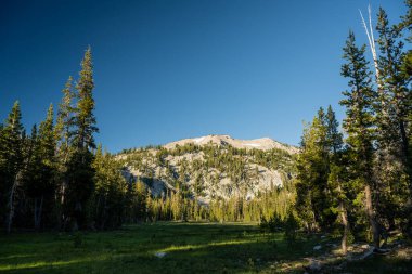 Shadowy Meadow On The To Cliff Lake in Lassen Volcanic National Park