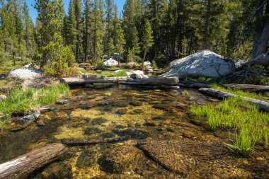 Shallow Outlet from Young Lakes in Yosemite National Park in summer
