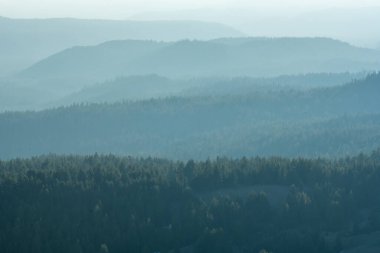 Smoky Layers Of Forest In Remote Oregon Wilderness