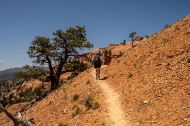 Bryce Canyon Ulusal Parkı 'nda, Rim Altında Dik Patikadan Yürüyen Kadın