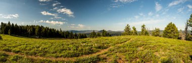 Open Meadow On The Top of Crater Peak