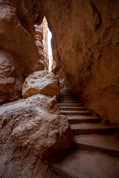 Staircase Climbs Up through the Wall Street Canyon in Bryce