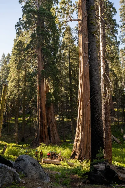 Trail Crew Heads Toward Prescribed Burn Area in Sequoia National Park