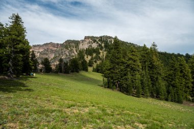 Meadow At Sun Notch On The Edge of Crater Lake in summer