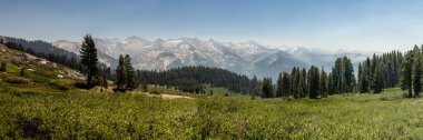 Panorama of Alta Meadow and the Sierra Mountains in Sequoia National Park