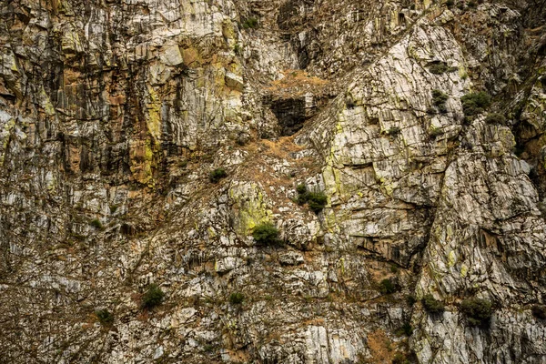 Algae Moss Covered Cliff Walls King Canyon National Park — стокове фото