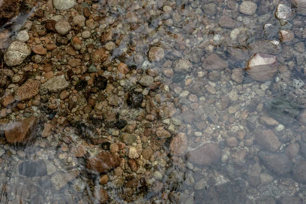 Stock image Brown Pebbles Underwater of the Shallow Tuolumne River in Yosemite