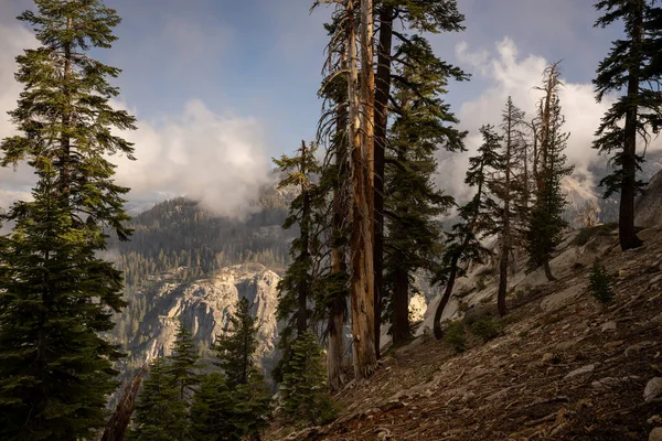 Chmura Waft Przez Kanion Wzdłuż Szlaku Strażnicy Parku Narodowym Sequoia — Zdjęcie stockowe