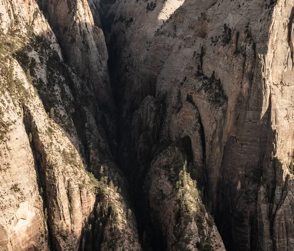 Crack Dans Canyon Sion Face Deer Trap Mountain Sur Bord — Photo