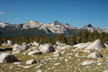 Yosemite Ulusal Parkı 'ndaki Granit Kayalar Dot Çayırı