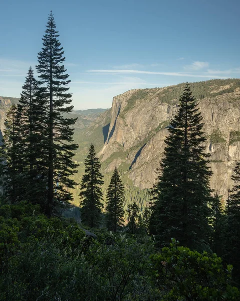 Capitan Pines Four Mile Trail Yosemite National Park — Stock Photo, Image