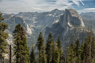 Ağaçlar Buzul Noktası 'ndan itibaren yarım kubbenin üzerinde nöbet tutuyor.