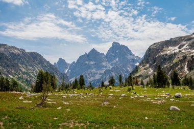 Yazın Meadow Gölü Yakınındaki Yalnızlık ve Uzakta Grand Teton