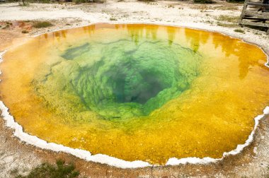 Sabah Zaferi Havuzu Yellowstone Ulusal Parkı 'ndaki Çamları Yansıtıyor