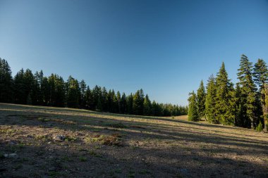 Krater Gölü Ulusal Parkı 'ndaki Aydınlatma Parkı boyunca açık çayır.