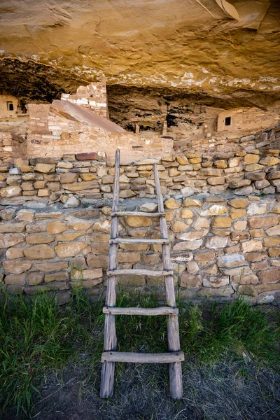 Mesa Verde的Mug House的Pale Wooden Ladder Leans靠着墙 — 图库照片