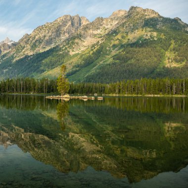 Grand Teton Ulusal Parkı 'ndaki Leigh Gölü' ndeki Minik Ada 'da Tek Çam Ağacı