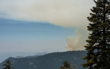 Controlled Burn 'den çıkan duman Sequoia Ulusal Parkı' nda duman bulutu yarattı