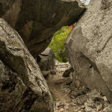 Yosemite Ulusal Parkı 'ndaki Düşmüş Granit Tüneli' nden geçen patika kesikleri
