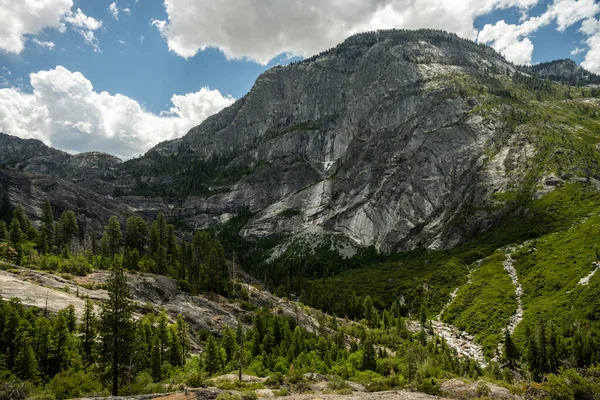 Vysoké Útesy Tyčí Nad Borovým Lesem Velkém Kaňonu Tuolumne Yosemitech — Stock fotografie