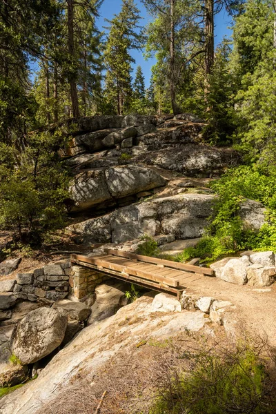 Bridge Creek Kieruje Się Lodgepole Campground Sequoii Kierunku Obszaru Generała — Zdjęcie stockowe