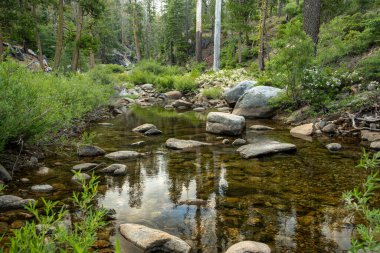 Yosemite Ulusal Parkı 'ndaki Rocky Havzası' ndan Kurbağa Deresi 'nin Nazik Suları akıyor