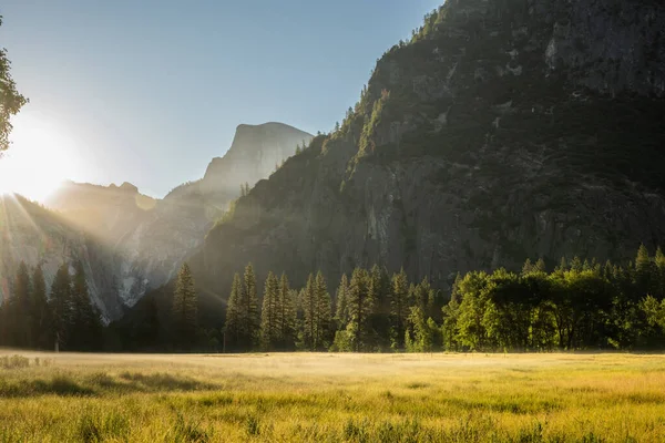 Golden Morning Light Meadows Yosemite Valley Verão — Fotografia de Stock